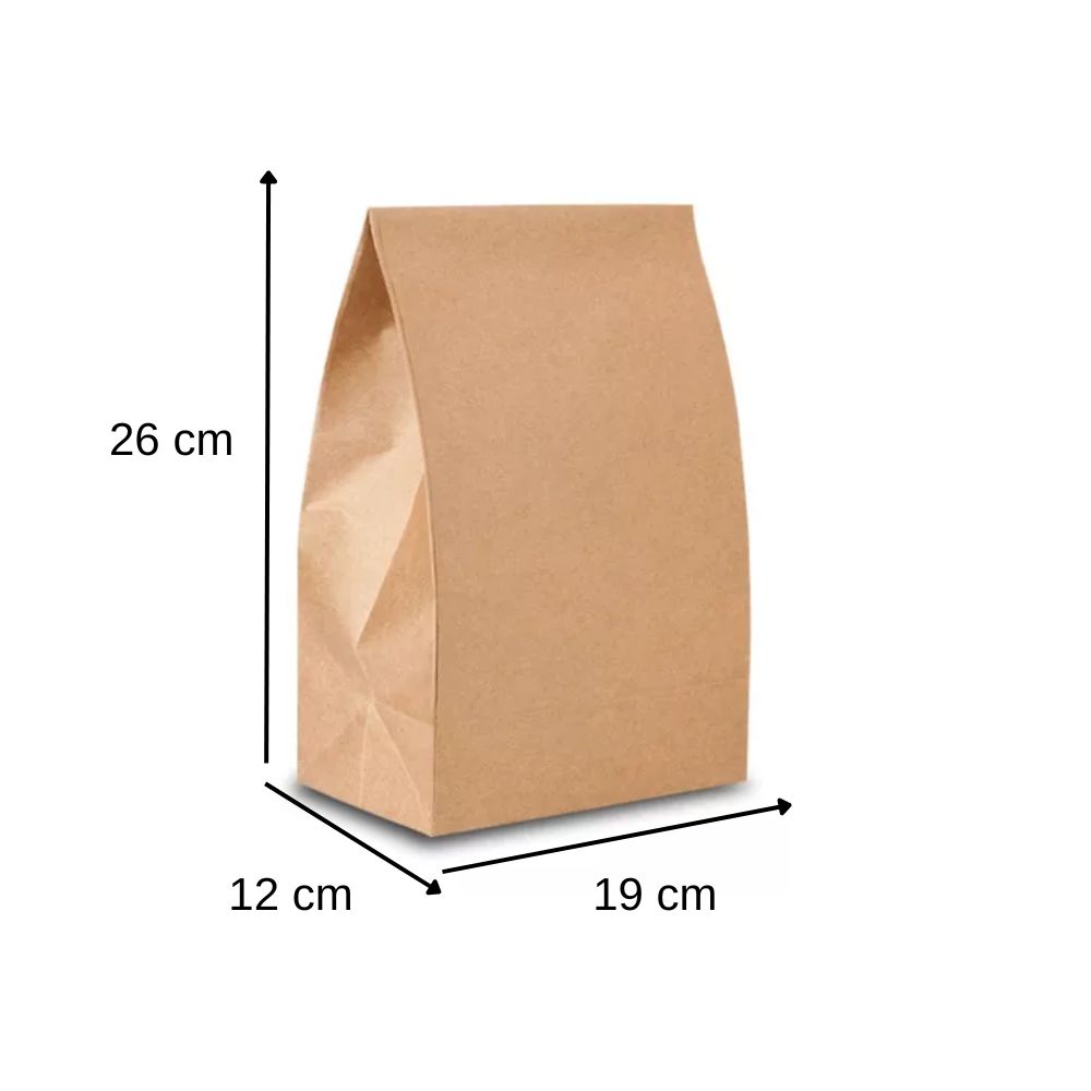 SACO DE PAPEL KRAFT DELIVERY LISO M 10KG 19X12X26 CM 50 UNID