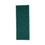 FIBRA LIMPEZA USO GERAL - RODOS 2000