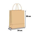 SACOLA DE PAPEL KRAFT LISA M 30X24X10 CM COM 50 UND - CHIARA