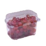 CUMBUCA PARA FRUTAS GF501 UNIDADE - GALVANOTEK