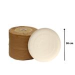 PRATO DE PAPEL N° 07 COM 100 UNIDADES - PITPRATO